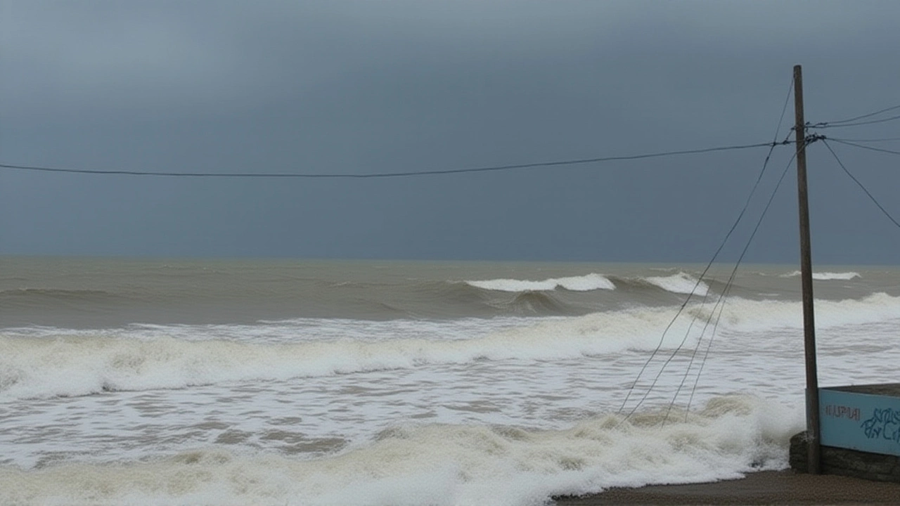 What Authorities Are Doing